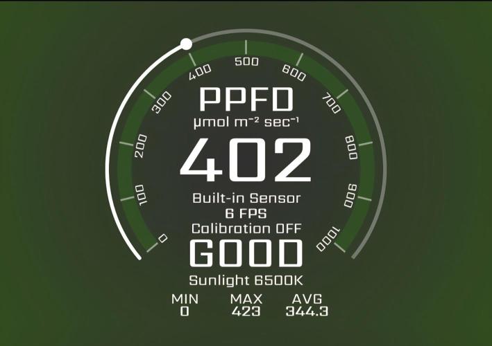 Greenhouse Grows. Week 9