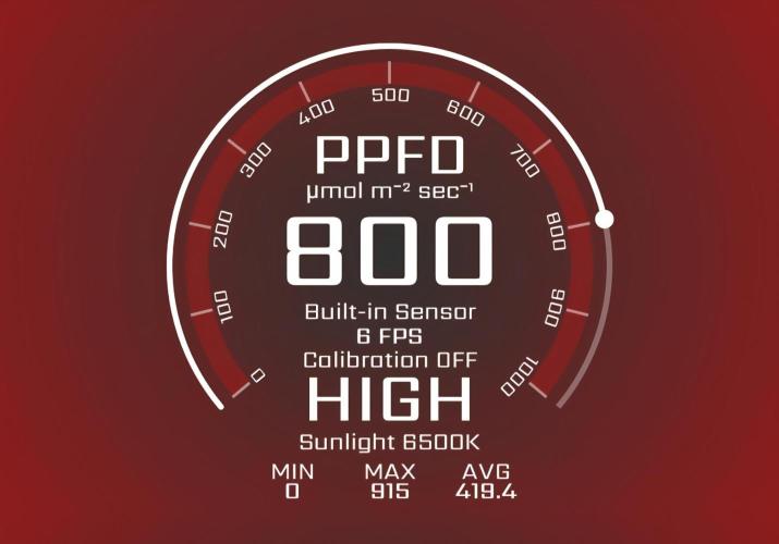 Winter Grow Projects 25-26. Week 10