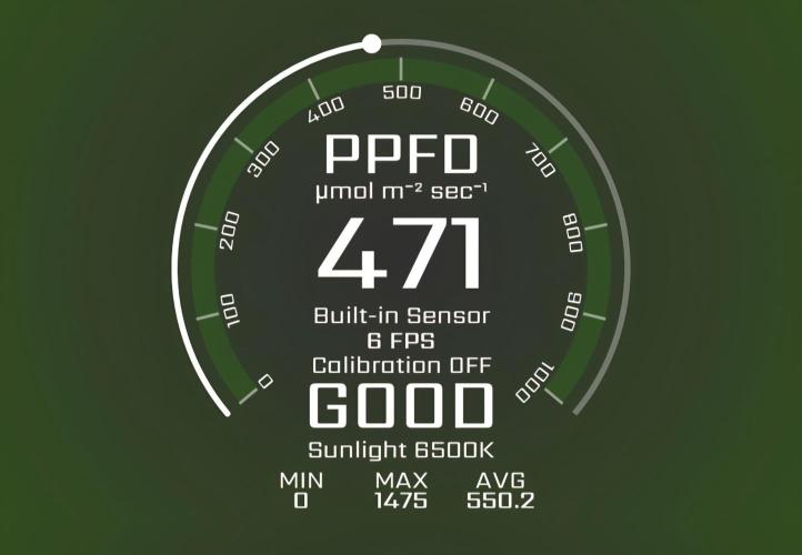 Greenhouse Grows. Week 10