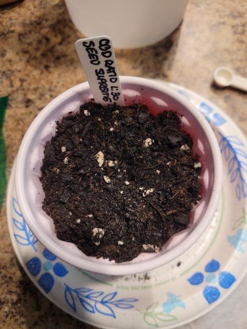 CBD Ratio 1:30. Week 0