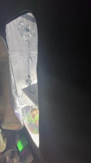 Comment by MotoXfarmer photo #1