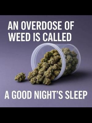 Comment by MotoXfarmer photo #1