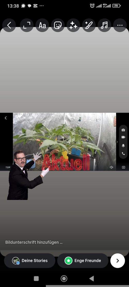 2x FastBuds 1x Barneys Farm. Week 4