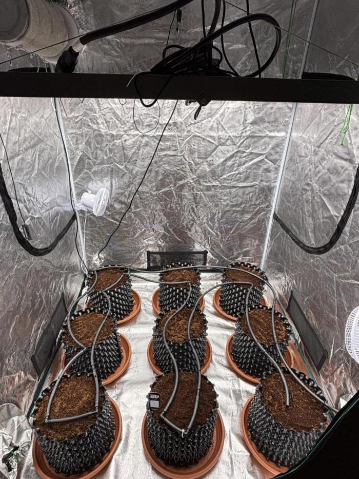 Test1. Week 0 - Ready to be planted