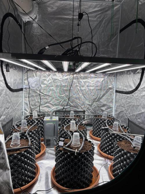 Test1. Week 0 - Ready to fly