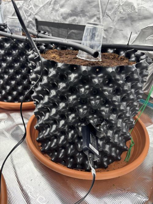 Test1. Week 0 - Soil sensor