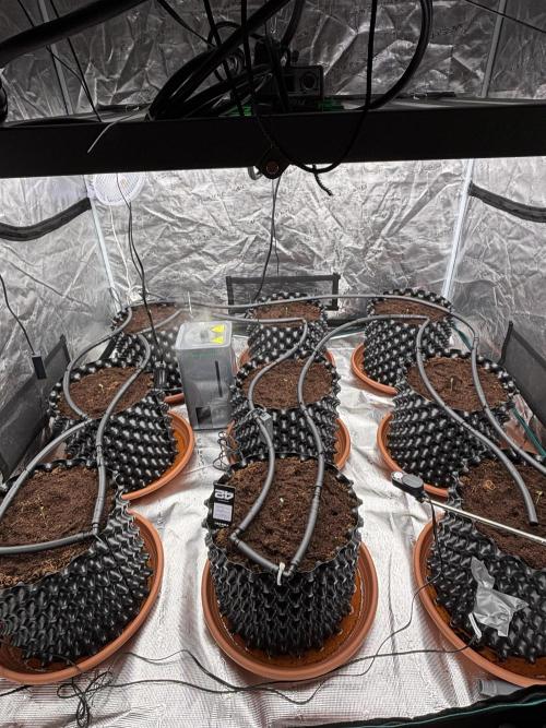 Test1. Week 1 - day2