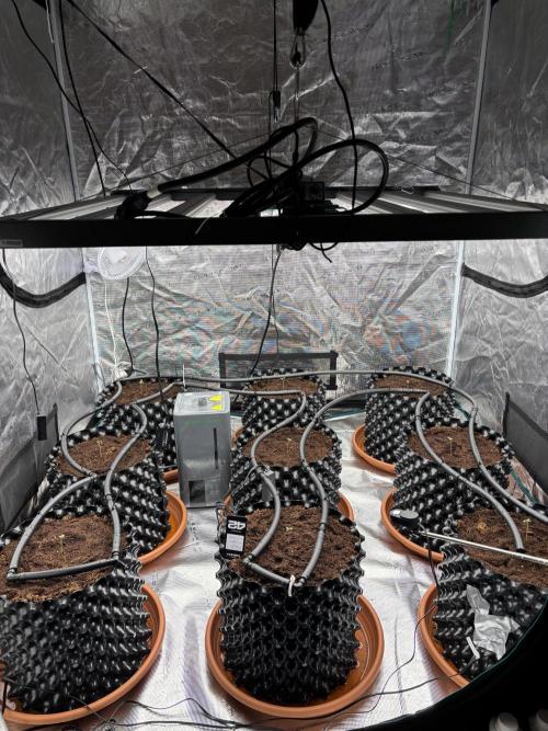 Test1. Week 1 - day3