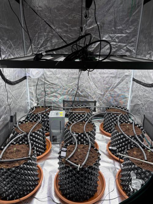 Test1. Week 1 - day 4