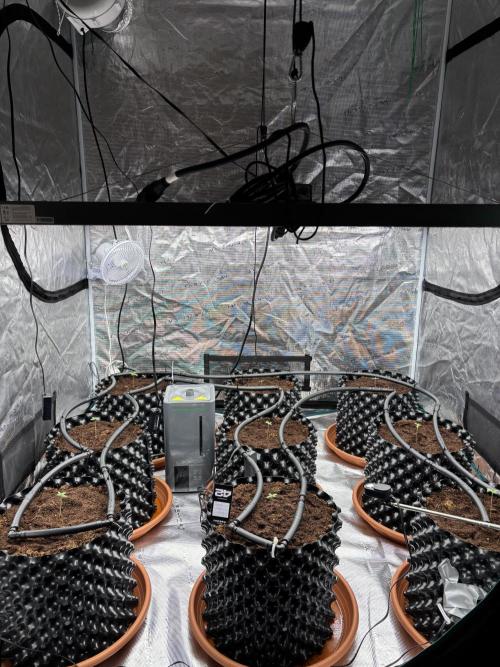 Test1. Week 1 - day 5