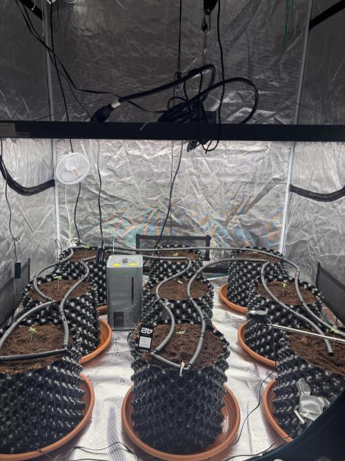 Test1. Week 1 - day 6