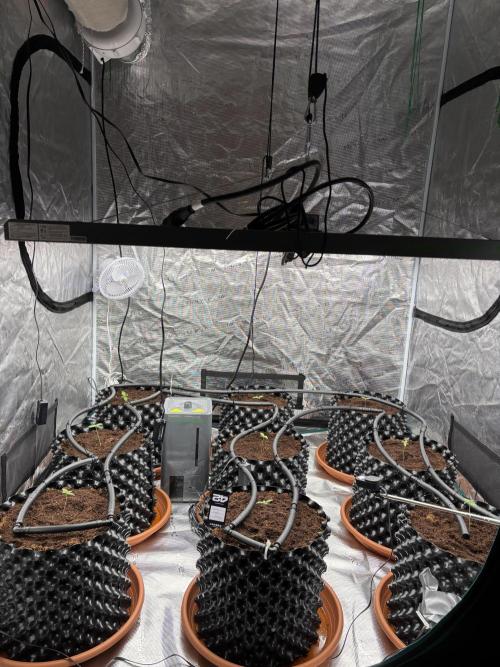 Test1. Week 1 - day 7