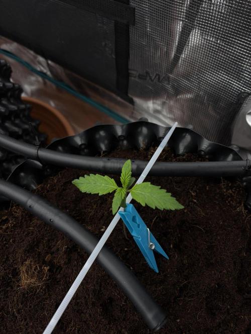 Test1. Week 2 - day 9