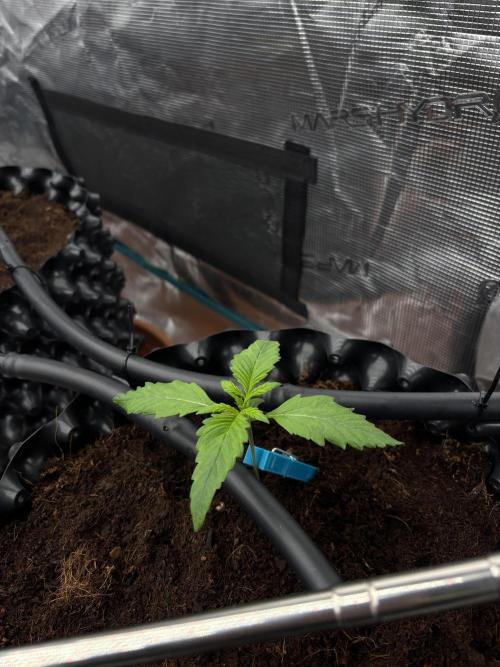 Test1. Week 2 - day12