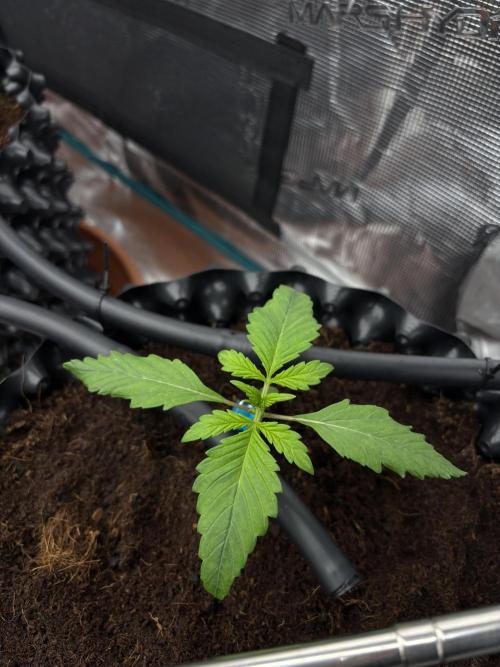 Test1. Week 2 - day13