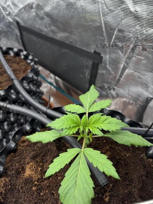 Test1. Week 3 - day16