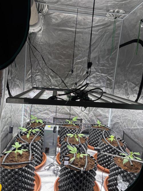 Test1. Week 3 - Training's