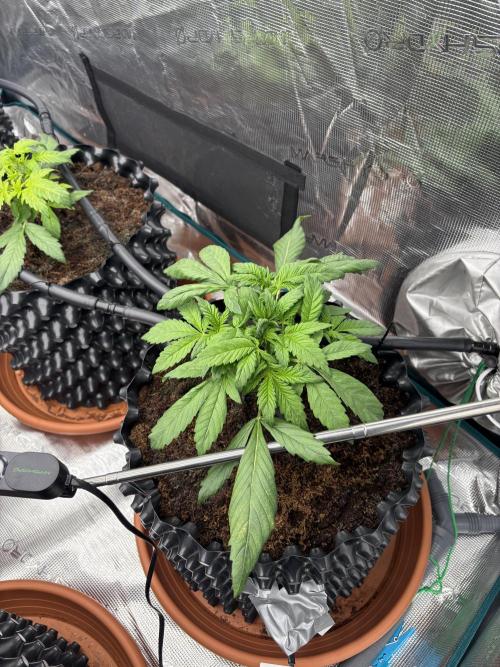 Test1. Week 4 - day24