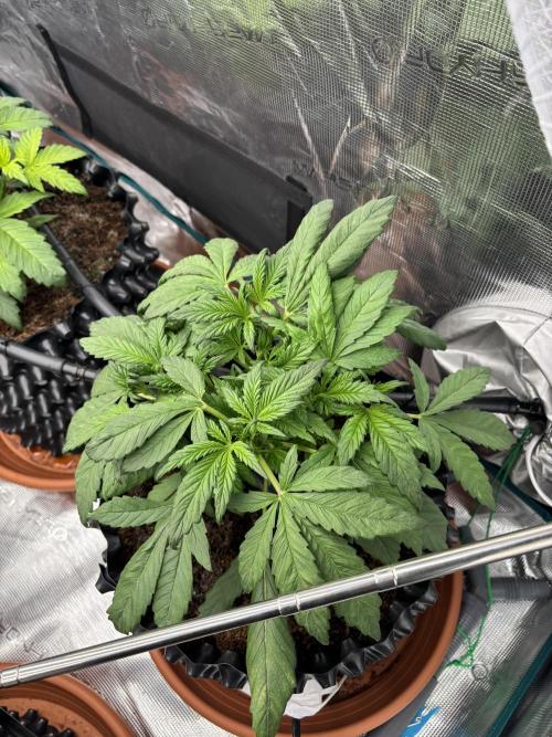 Test1. Week 4 - day27