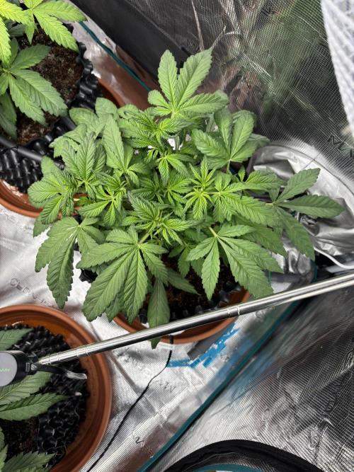 Test1. Week 5 - Day 30