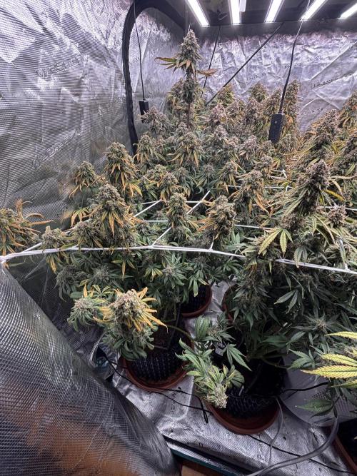 Test1. Week 14