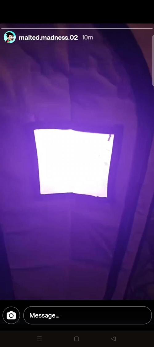 First Grow | Skywalker OG Auto