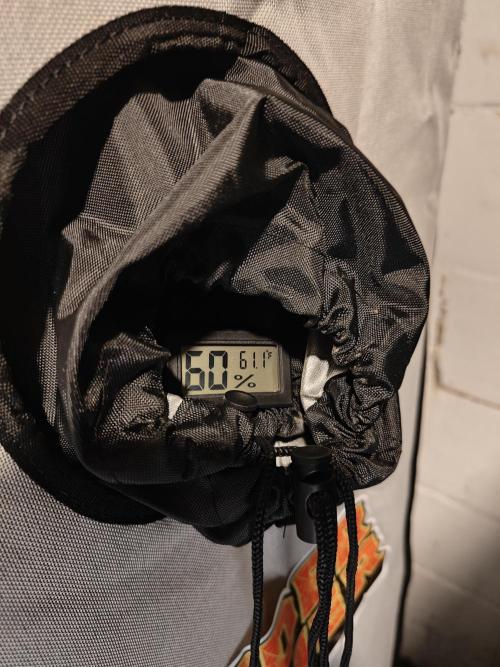 First Grow | Skywalker OG Auto. Week 11 - Dialed in for the dry