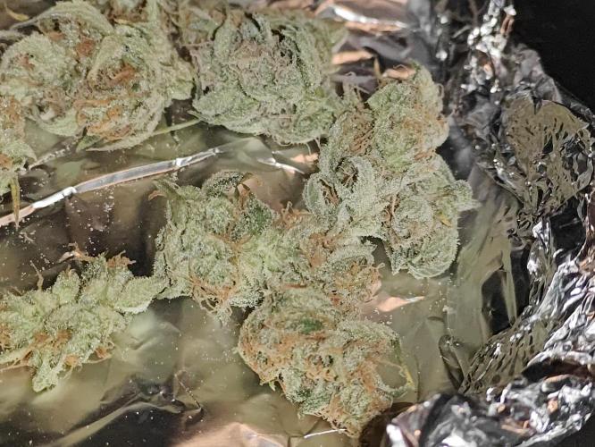 First Grow | Skywalker OG Auto. Week 11