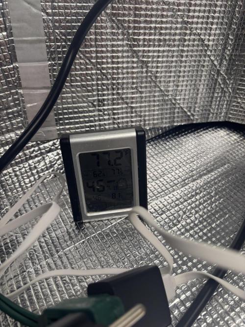 Mix pack from fast buds. Week 3