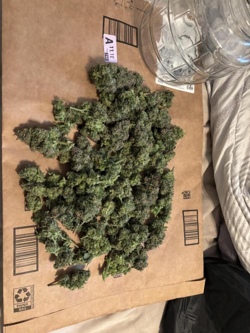 Strawberry gorilla. Week 11