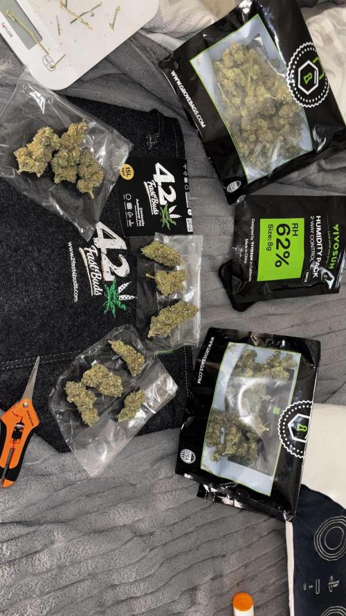 Strawberry gorilla. Week 11