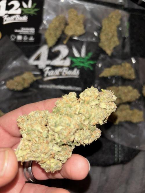 Strawberry gorilla. Week 11