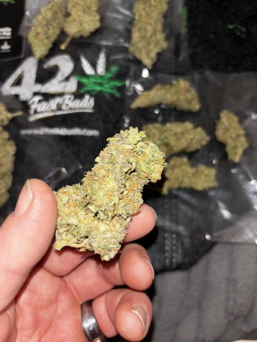 Strawberry gorilla. Week 11