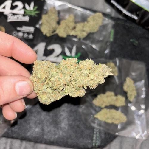 Strawberry gorilla. Week 11