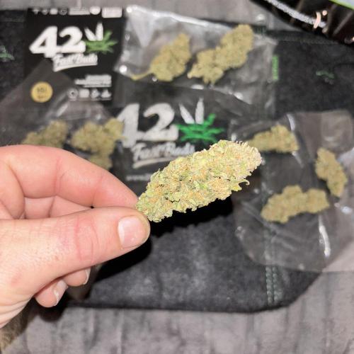 Strawberry gorilla. Week 11