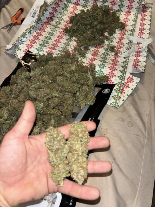 Mix pack from fast buds. Week 12