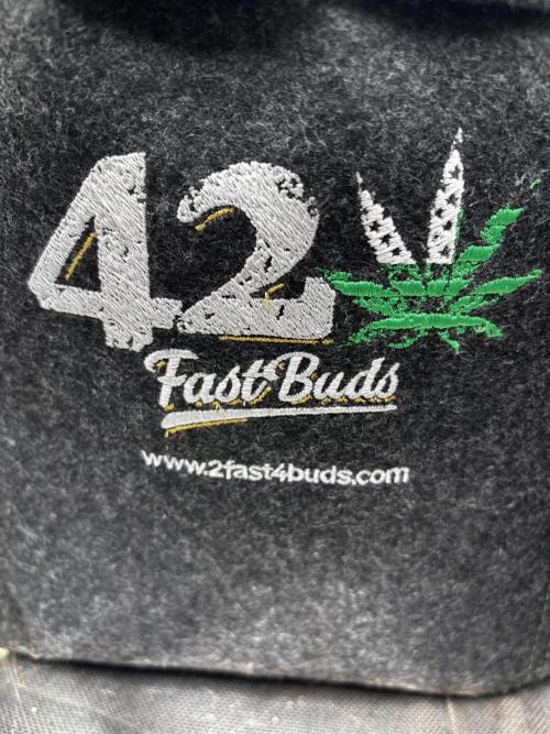 Fastbuds fems. Week 0