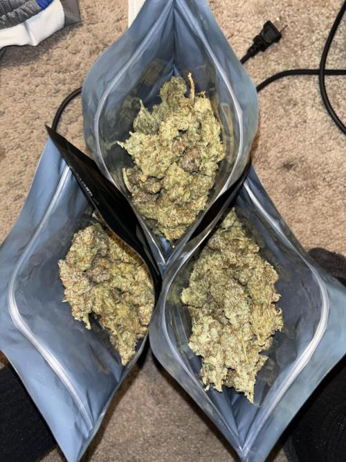 First test grow. Week 9
