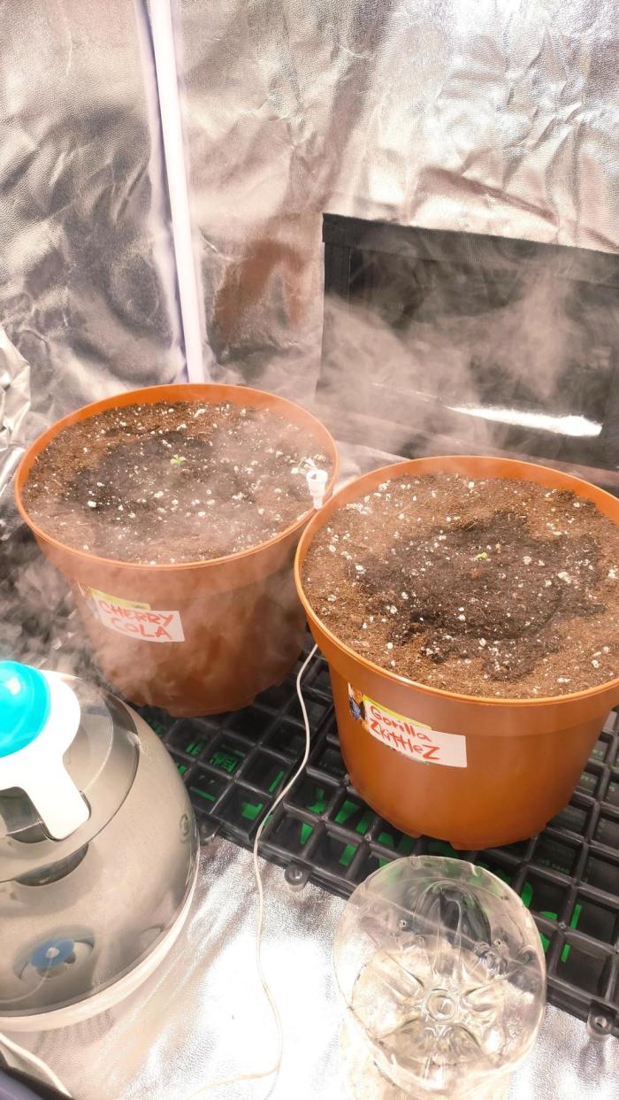 Second Drive - FastBuds. Week 0 - Druhá jízda je tu! 