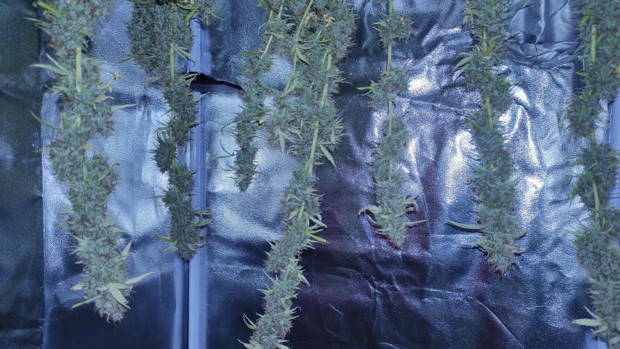 Second Drive - FastBuds. Week 11