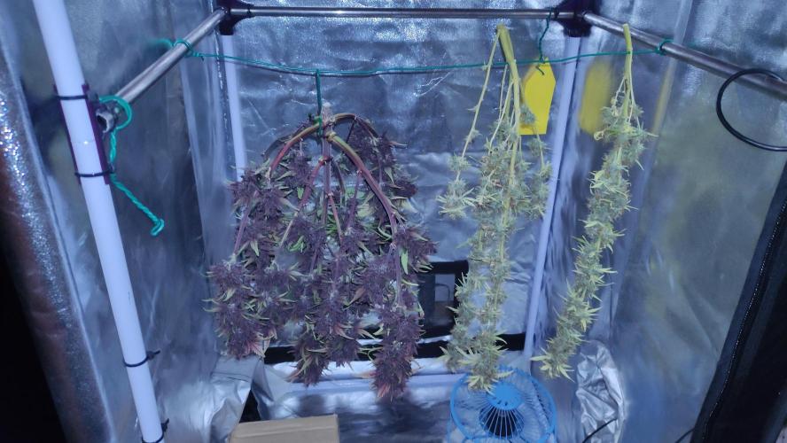 Second Drive - FastBuds. Week 11