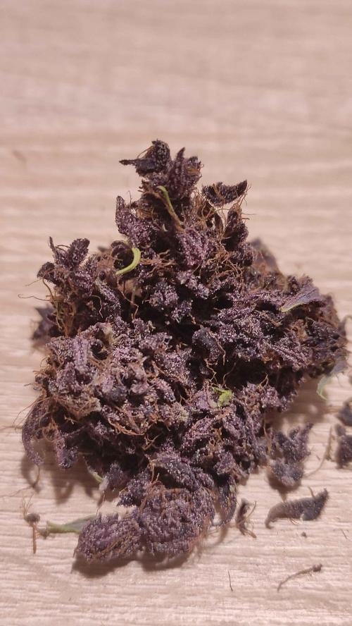 Second Drive - FastBuds. Week 11