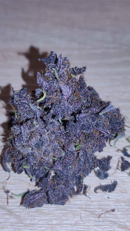 Second Drive - FastBuds. Week 11