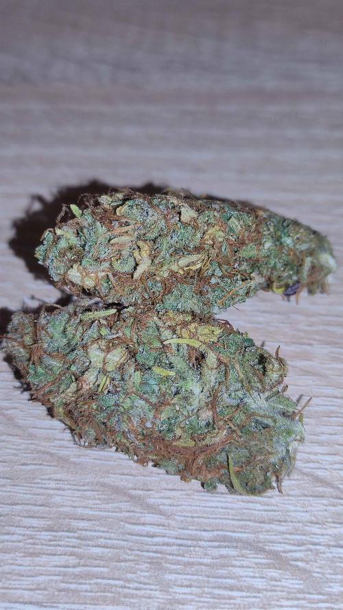Second Drive - FastBuds. Week 11