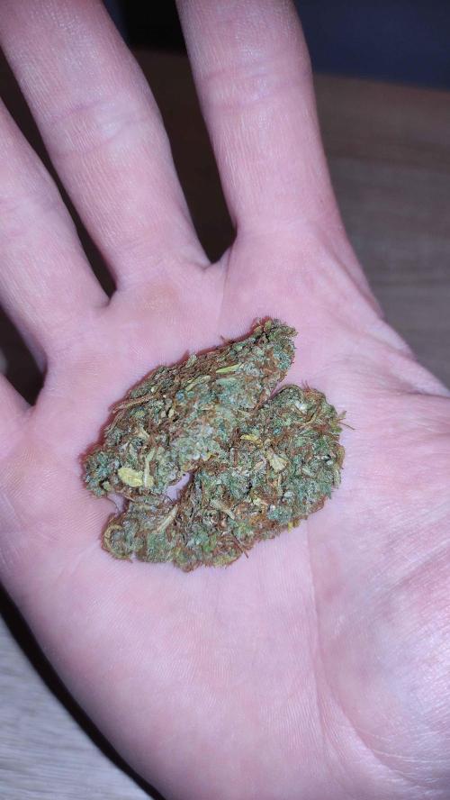 Second Drive - FastBuds. Week 11