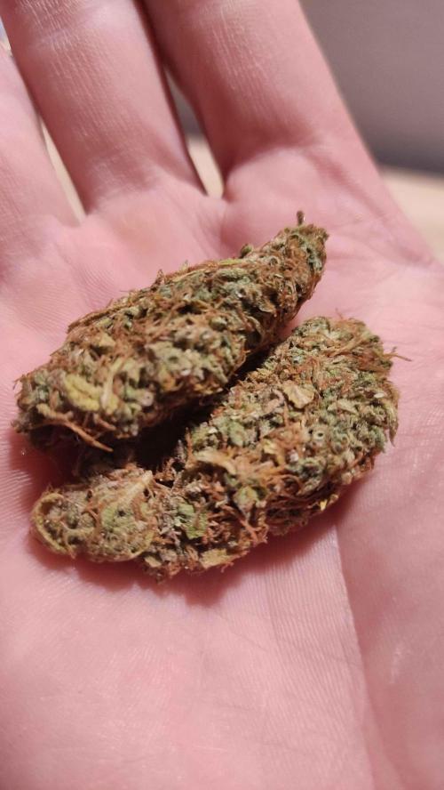Second Drive - FastBuds. Week 11