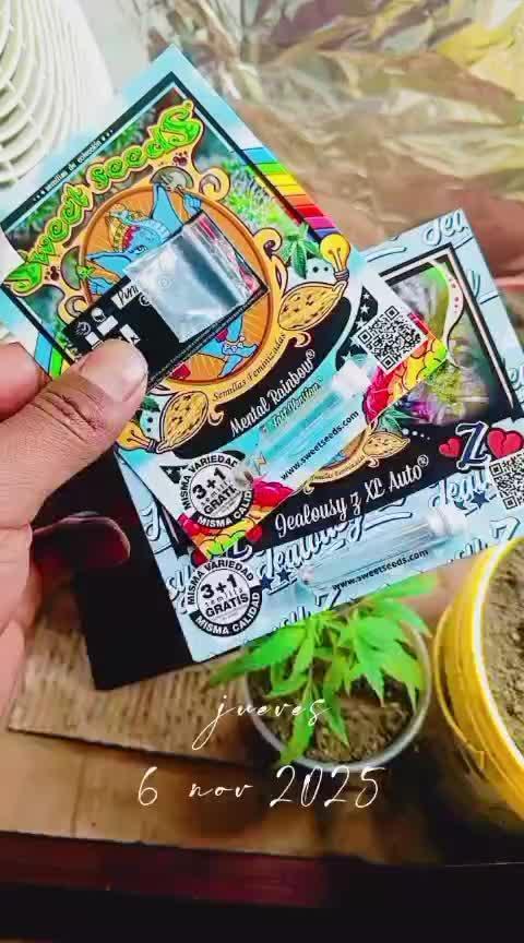 deliii