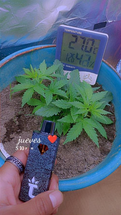 Sweet. Week 3