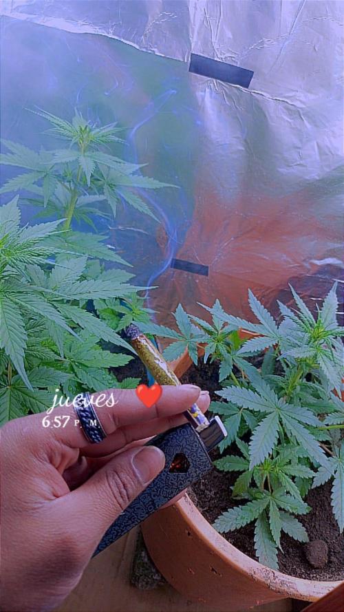 Sweet. Week 4