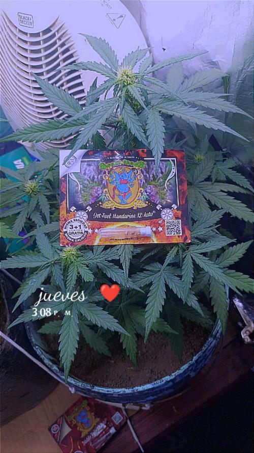 Sweet. Week 5